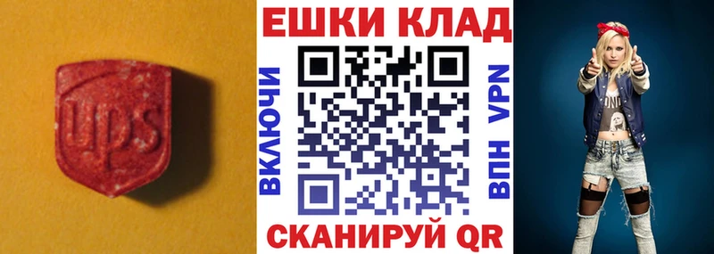 Купить закладки  Котлас  Ecstasy 300 mg 